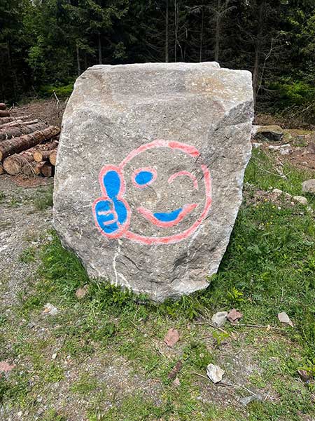 Graffiti entfernen vorher